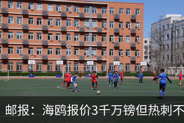 邮报：海鸥报价3千万镑但热刺不愿卖武什科维奇 巴萨国米拜仁关注
